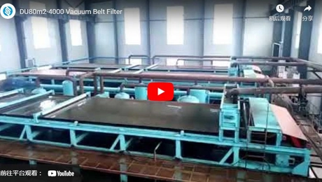 Filtro DU80m2-4000 da correia de vácuo